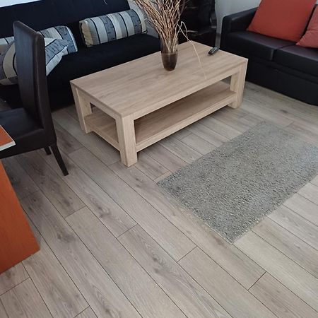Apartament Cu Terasa La Casa Tina 蒂米什瓦拉 外观 照片