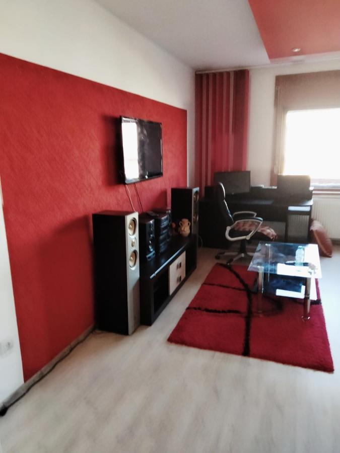 Apartament Cu Terasa La Casa Tina 蒂米什瓦拉 外观 照片