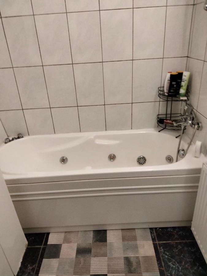 Apartament Cu Terasa La Casa Tina 蒂米什瓦拉 外观 照片