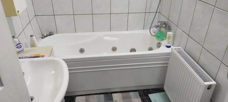 Apartament Cu Terasa La Casa Tina 蒂米什瓦拉 外观 照片