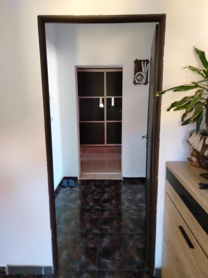 Apartament Cu Terasa La Casa Tina 蒂米什瓦拉 外观 照片