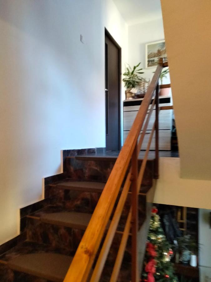 Apartament Cu Terasa La Casa Tina 蒂米什瓦拉 外观 照片