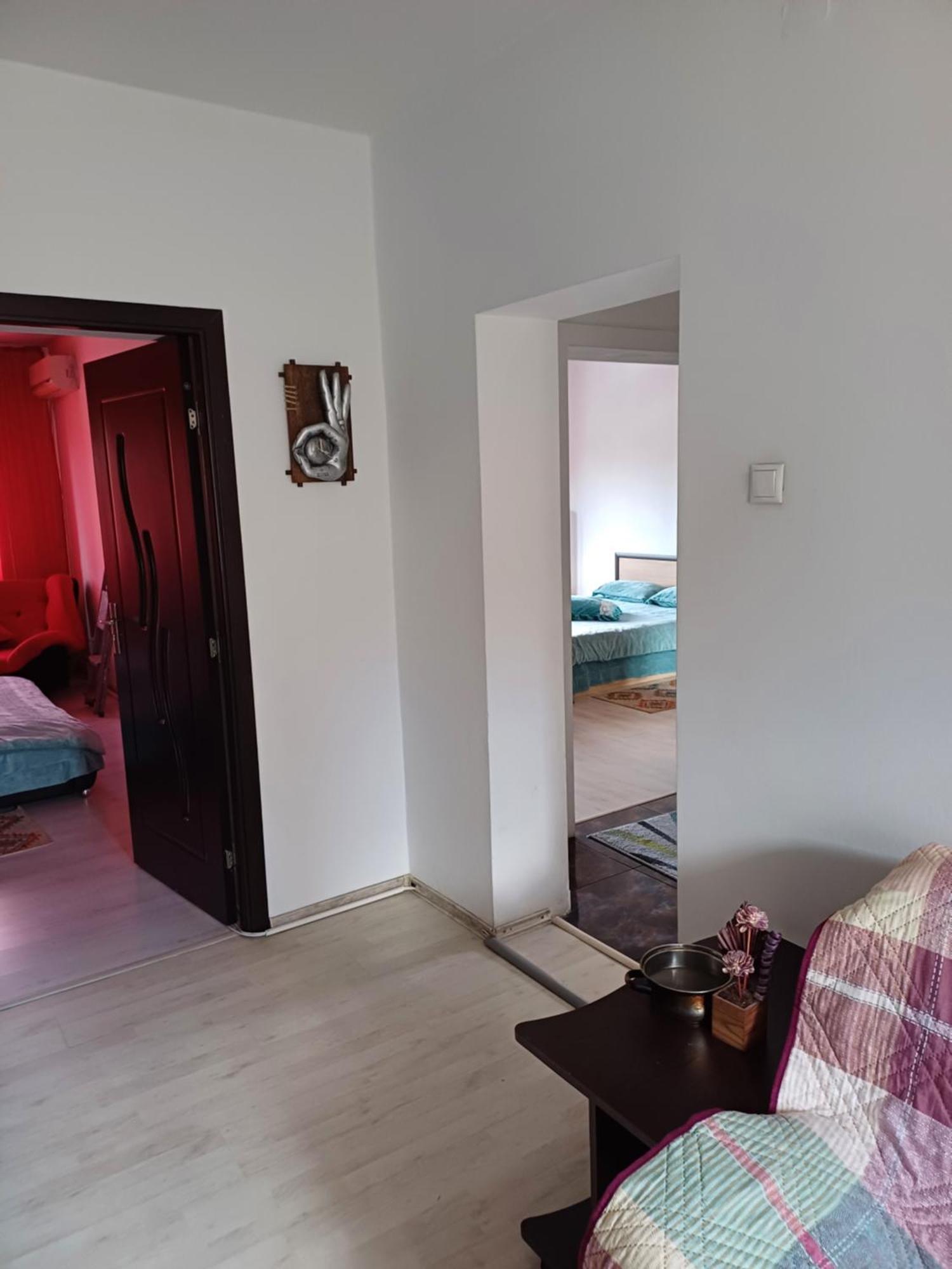 Apartament Cu Terasa La Casa Tina 蒂米什瓦拉 外观 照片